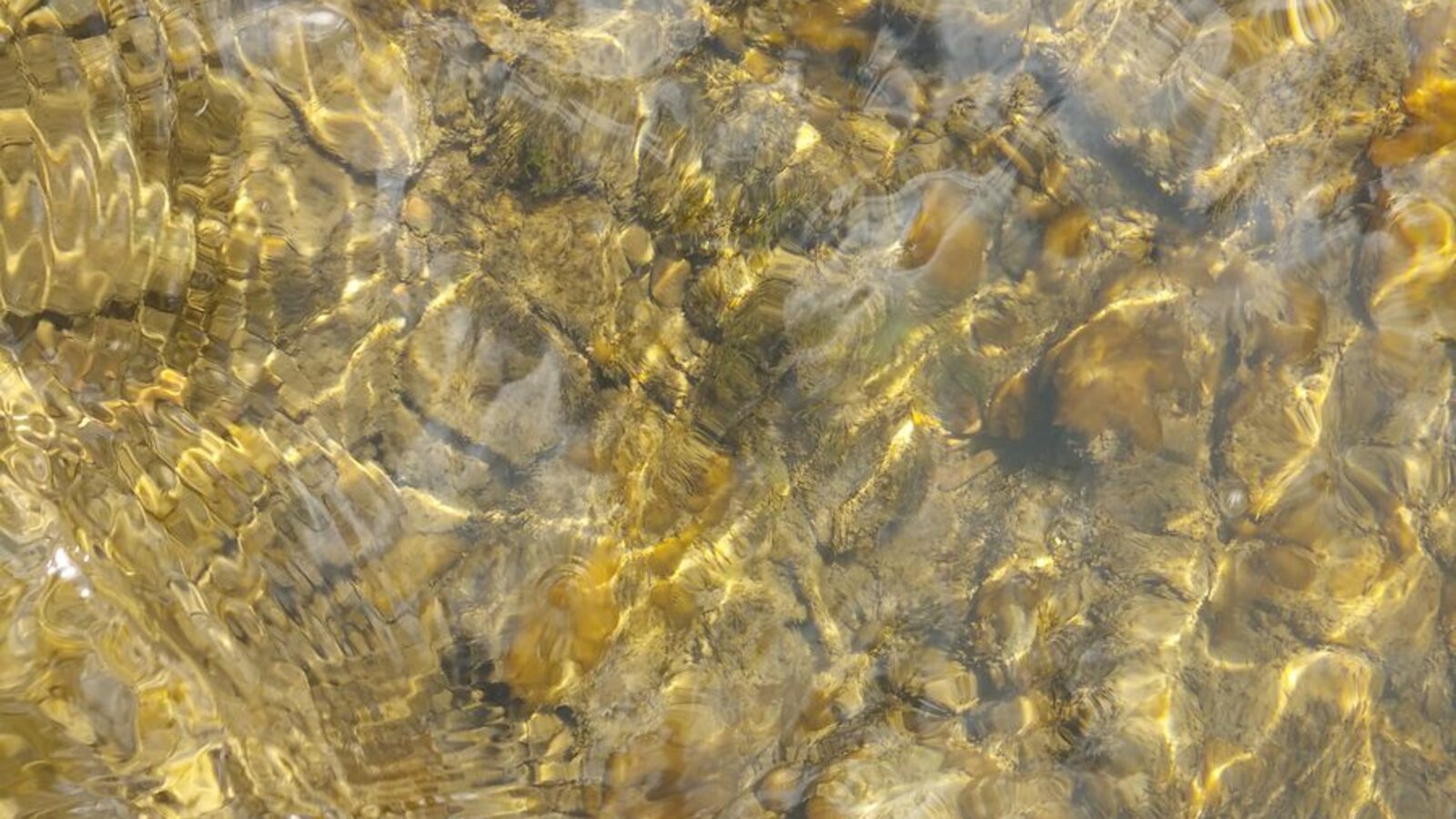 How to Overcome Performance Anxiety: The Grocery Store Method 25 Clear creek water flowing over golden pebbles — steady movement as an image of calm under pressure